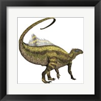 Framed Tenontosaurus dinosaur from the Cretaceous Period