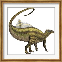 Framed Tenontosaurus dinosaur from the Cretaceous Period