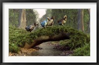 Framed group of Dodo birds crossing a natural bridge over a stream