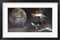 Framed Pisces is the twelfth astrological sign of the Zodiac