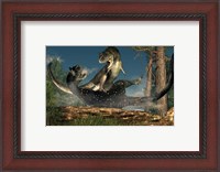 Framed couple of Carnotaurus dinosaurs fighting