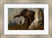 Framed mammoth standing among stones on a hillside