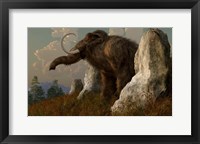 Framed mammoth standing among stones on a hillside