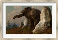 Framed mammoth standing among stones on a hillside