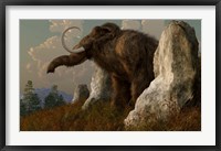Framed mammoth standing among stones on a hillside