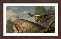 Framed Archaeopteryx stalks a dragonfly on a rock