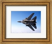 Framed F-14A Tomcat with missile armament