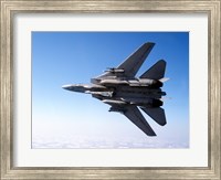 Framed F-14A Tomcat with missile armament