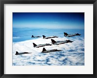 Framed Four F-14 Tomcats and three F-5 Tiger IIs in flight