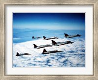 Framed Four F-14 Tomcats and three F-5 Tiger IIs in flight