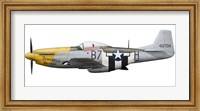 Framed P-51D Mustang, nicknamed Ferocious Frankie
