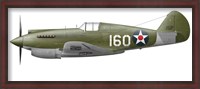 Framed Illustration of a Curtis P-40 Warhawk