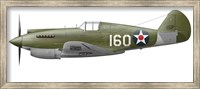 Framed Illustration of a Curtis P-40 Warhawk