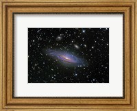 Framed NGC7331 Galaxy and its companion galaxies