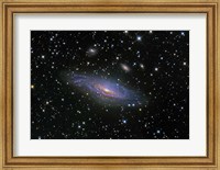 Framed NGC7331 Galaxy and its companion galaxies