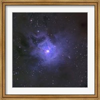 Framed Iris Nebula