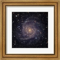 Framed IC 342, an intermediate spiral galaxy in the constellation Camelopardalis