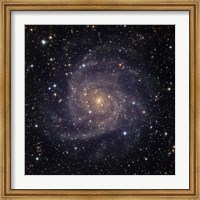 Framed IC 342, an intermediate spiral galaxy in the constellation Camelopardalis
