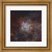 Framed Tarantula Nebula