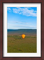 Framed Kenya, Maasai Mara, hot air ballooning at sunrise