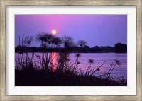 Framed Kenya. Sunset reflects through silhouetted reeds.