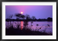 Framed Kenya. Sunset reflects through silhouetted reeds.