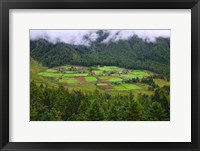 Framed Houses and Farmlands, Gangtey Village, Bhutan