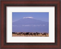 Framed Kenya: Amboseli NP, wildebeest wildlife, Mt Kilimanjaro