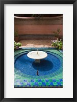 Framed Jardin Majorelle, Marrakech, Morocco, North Africa