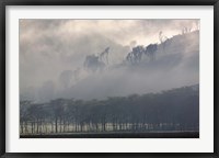 Framed Mist rising from escarpment, Lake Nakuru National Park, Kenya