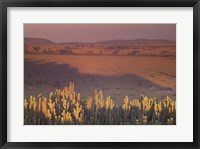 Framed Landscape View, Serengeti National Park, Tanzania