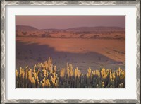 Framed Landscape View, Serengeti National Park, Tanzania