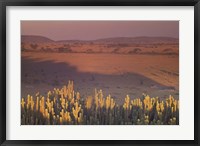 Framed Landscape View, Serengeti National Park, Tanzania