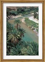 Framed Lush Palms Line the Banks of the Oued (River) Ziz, Morocco
