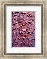 Framed Madrone Tree Bark Abstract pattern