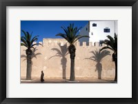 Framed Man and Palm Shadows on Walled Medina, Essaouira, Morocco