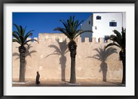 Framed Man and Palm Shadows on Walled Medina, Essaouira, Morocco