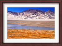 Framed Landscape of Mt Kunlun and Karakuli Lake, Silk Road, China