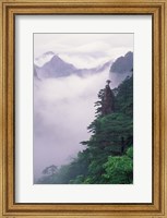 Framed Landscape of Mt Huangshan in Mist, China