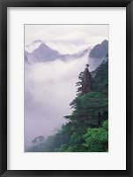 Framed Landscape of Mt Huangshan in Mist, China