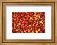 Framed Hot Red Pepper at the Local Market, Madagascar