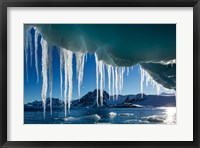 Framed Icicle hangs from melting iceberg by Petermann Island, Antarctica.