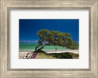 Framed Mauritius, Le Morne Peninsula, Beach, Surfing