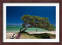 Framed Mauritius, Le Morne Peninsula, Beach, Surfing