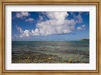 Framed Mauritius, Southern Mauritius, Blue Bay, oceanfront