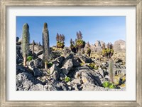 Framed Landscape, Mount Kenya National Park, Kenya