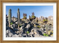 Framed Landscape, Mount Kenya National Park, Kenya