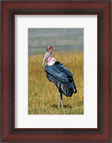 Framed Marabou Stork, Kenya
