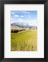Framed Grassy plains, Semien Mountains National Park, Ethiopia