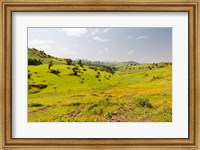Framed Landscape, Gonder and Lake Tana, Ethiopia